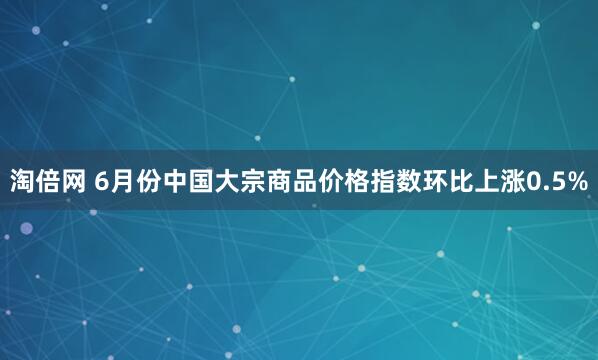 淘倍网 6月份中国大宗商品价格指数环比上涨0.5%