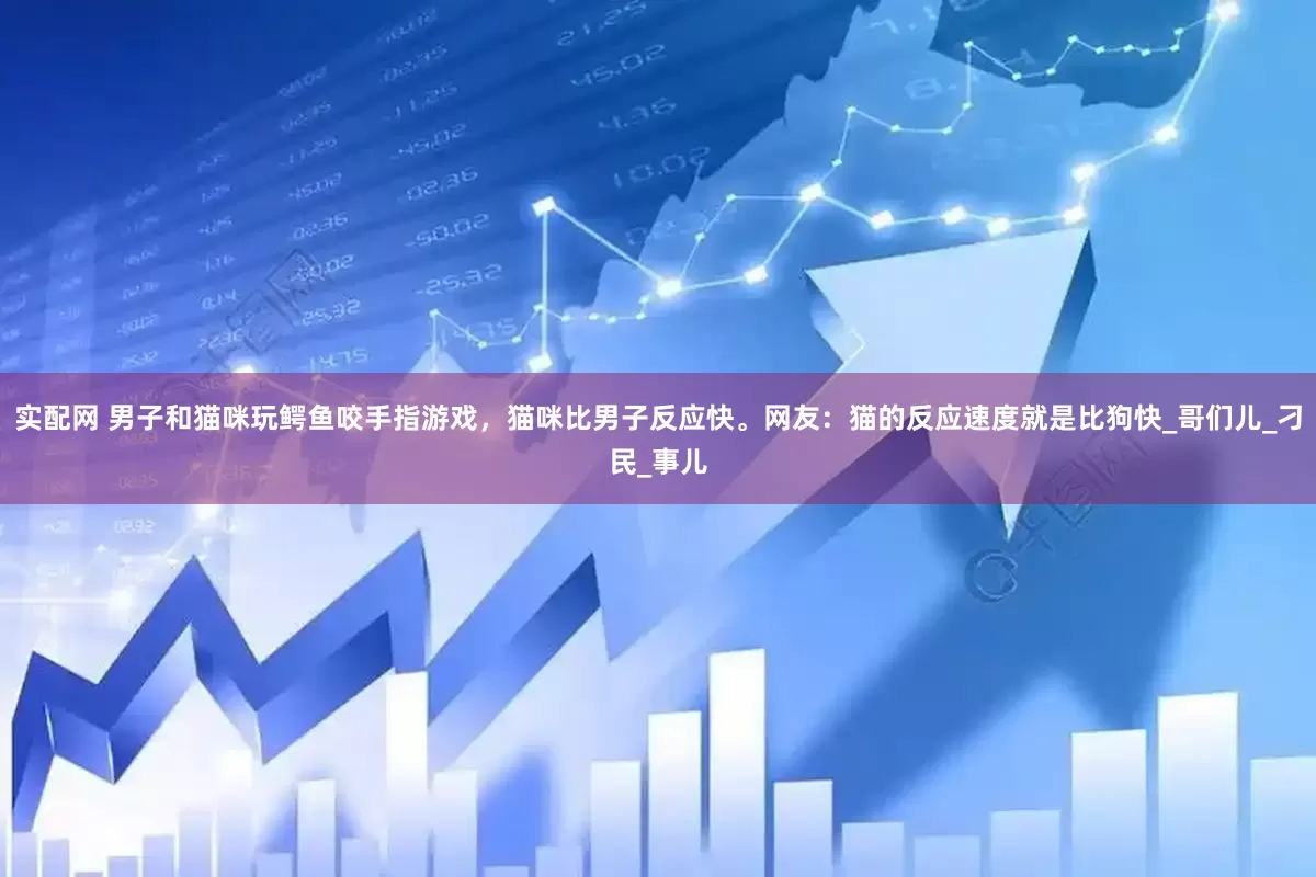 实配网 男子和猫咪玩鳄鱼咬手指游戏，猫咪比男子反应快。网友：猫的反应速度就是比狗快_哥们儿_刁民_事儿