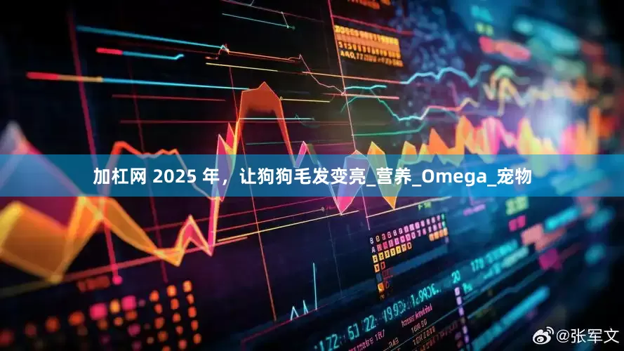 加杠网 2025 年，让狗狗毛发变亮_营养_Omega_宠物
